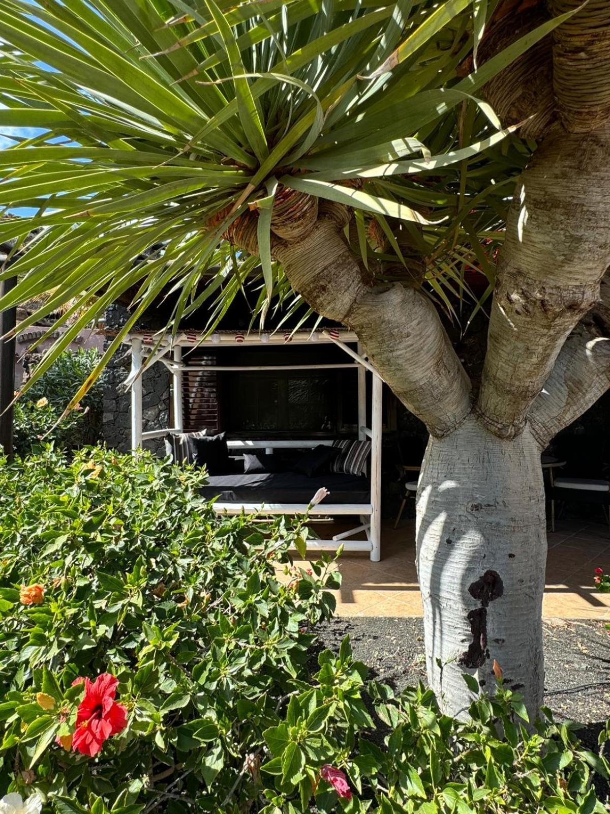 Castillo Lanzarote Villa Bailey - Luxury Villa - Pet Friendly With Heated Pool La Asomada  エクステリア 写真
